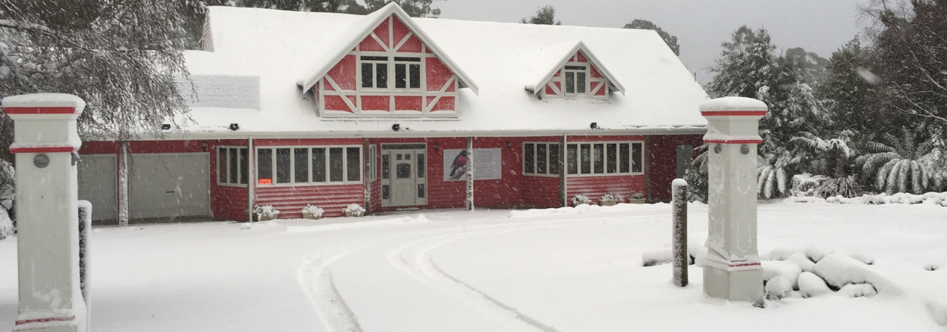 Stunning seasonal snow scenes. image