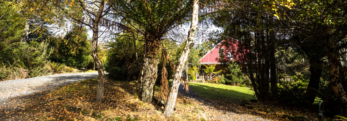 Relax in our private grounds for guests image